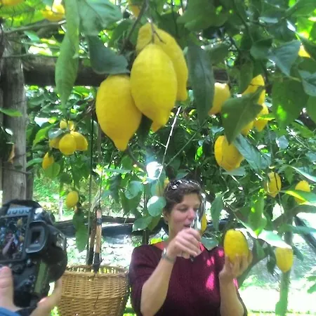 Holiday home Cerasella