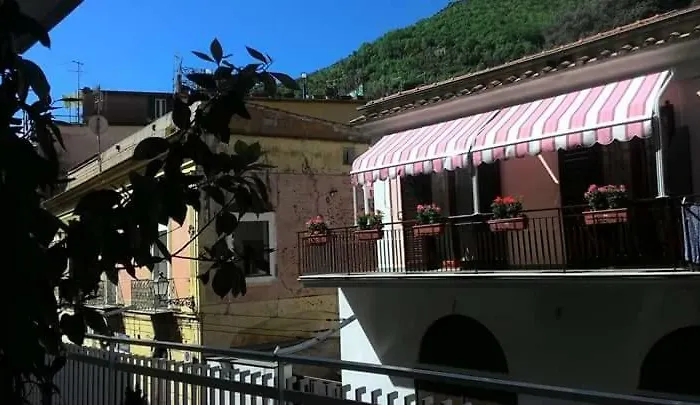 Cerasella